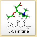 Acetyl-L-Carnitine (ALCAR)       