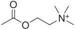 Acetylcholine (ACh)       