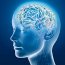 Brain Power Guide