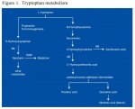 5-Hydroxytryptophan: a clinically-effective serotonin precursor.
