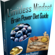 Limitless Mindset Brain Power Guide