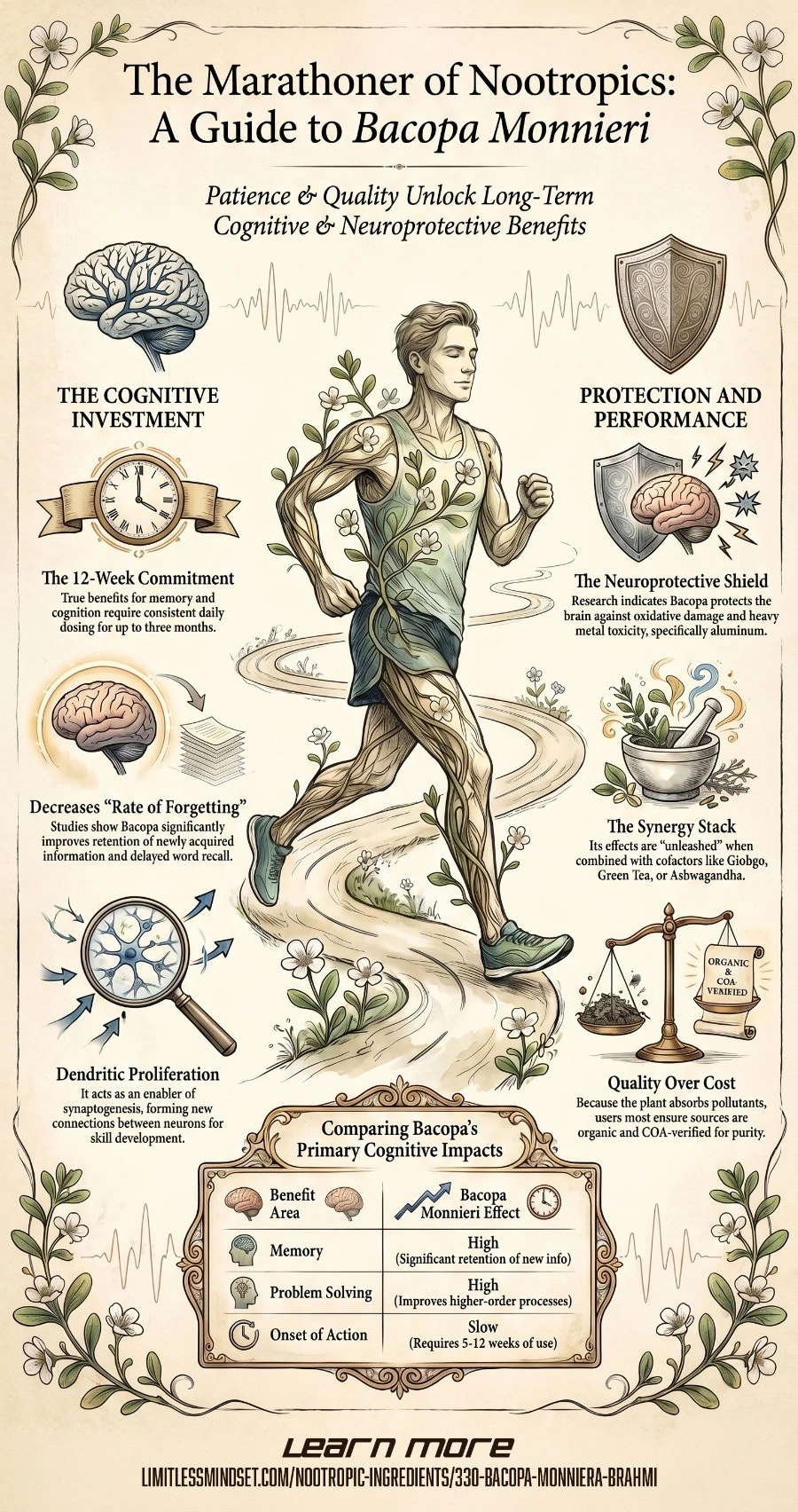 bacopa brahmi infographic