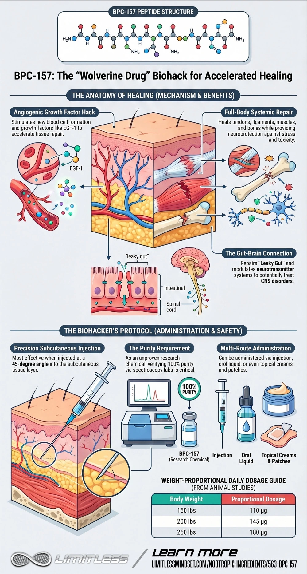 BPC-157 - Body Protection Compound BPC-157 infographic