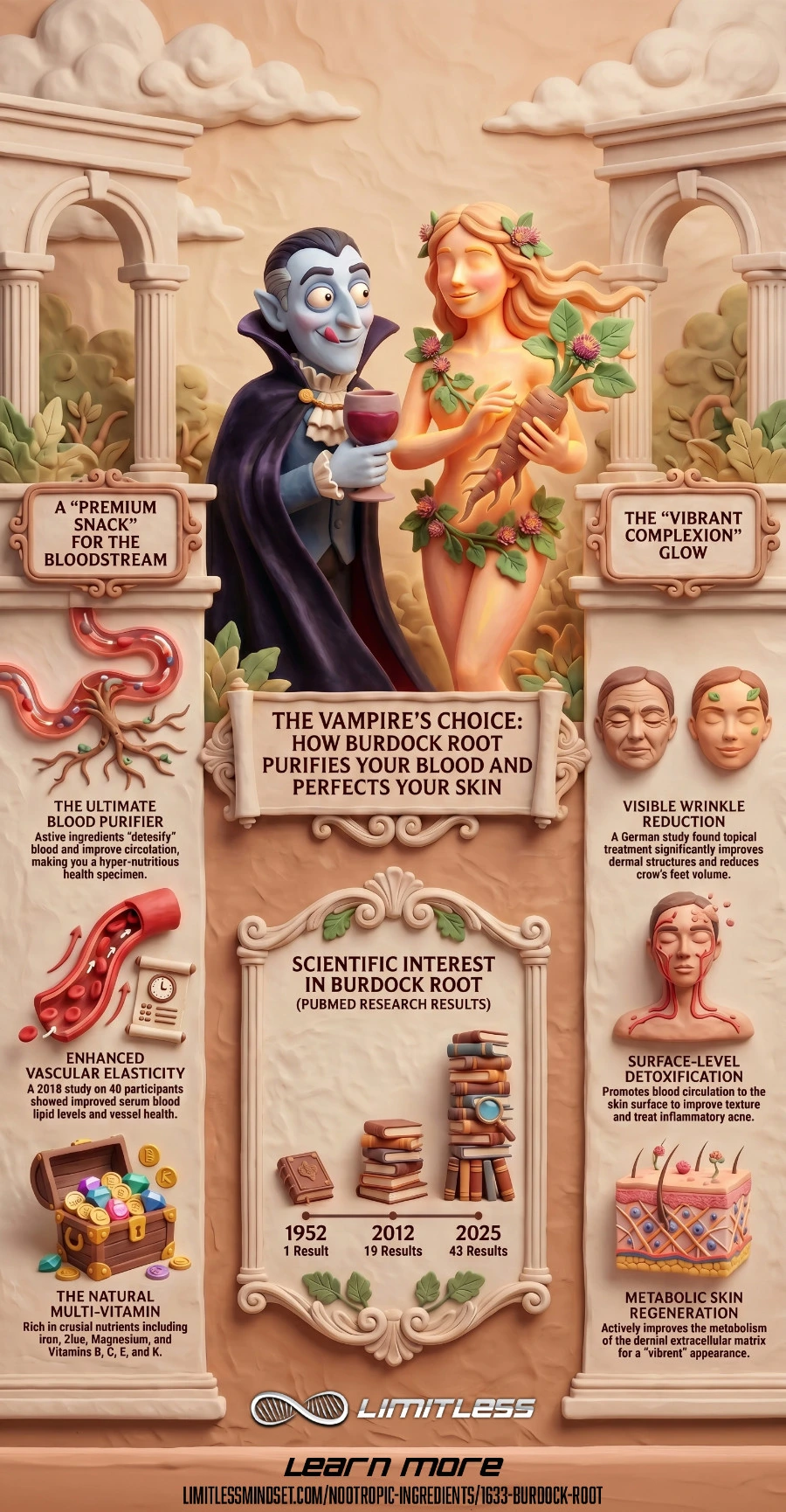 Burdock root infographic
