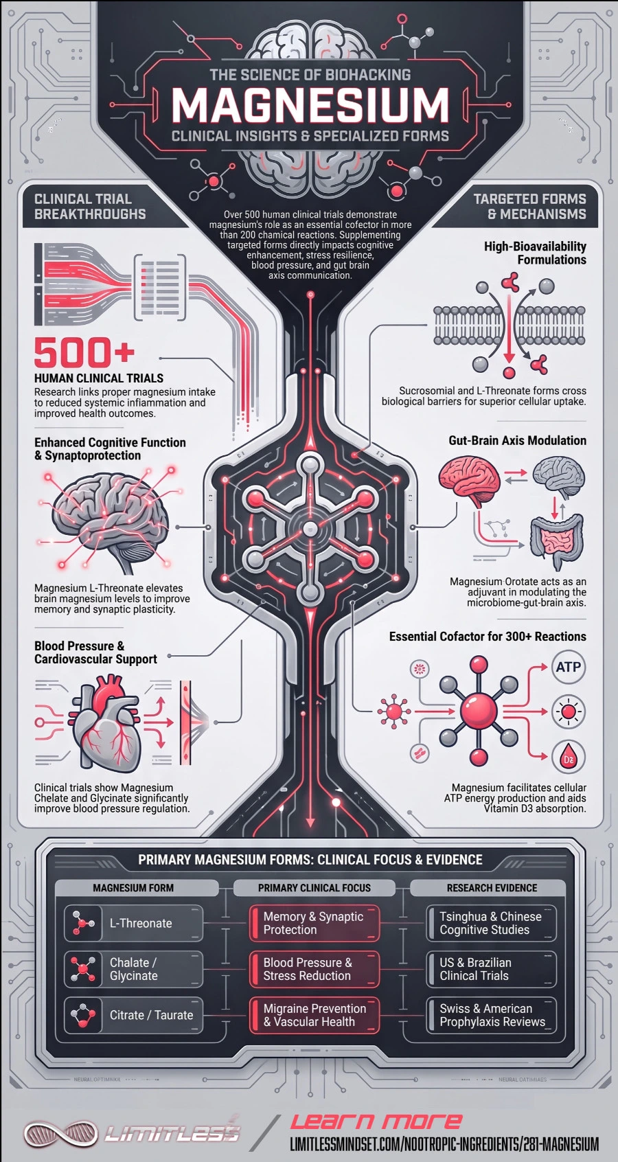 magnesium science biohacking infographic