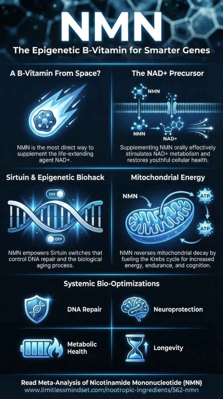 NMN infographic