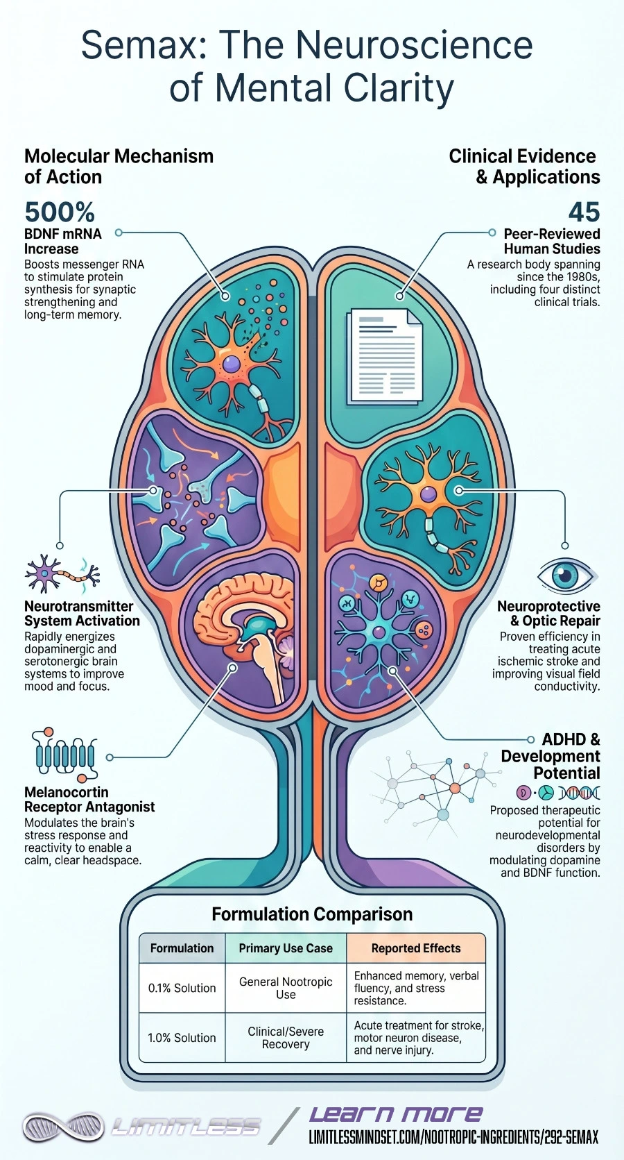 Semax: The Neuroscience of Mental Clarity