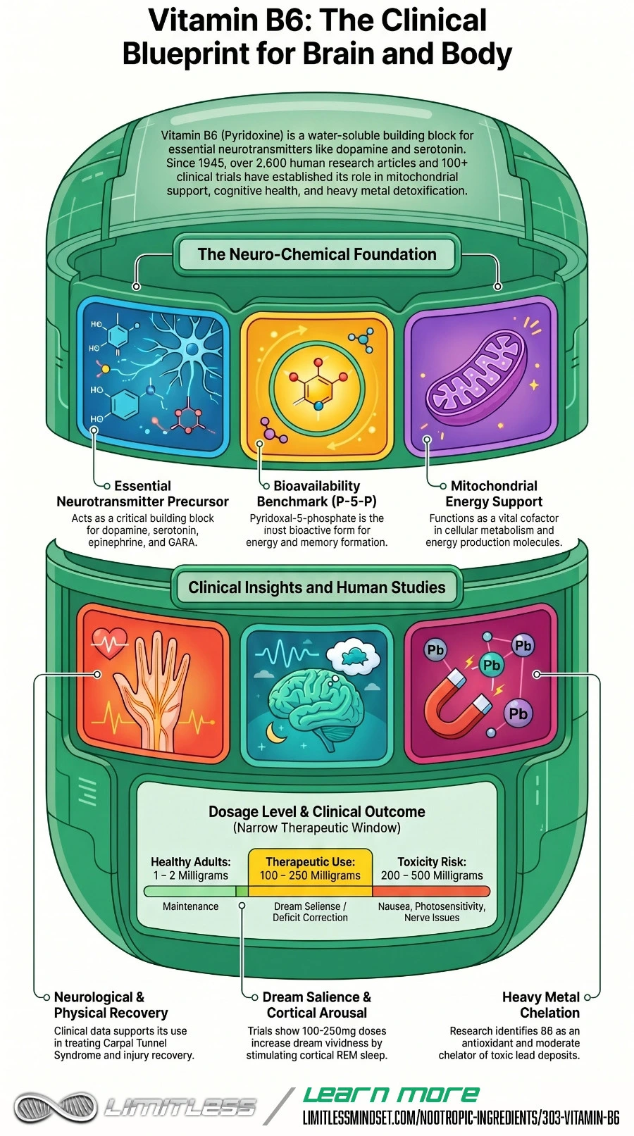 Vitamin B6 infographic
