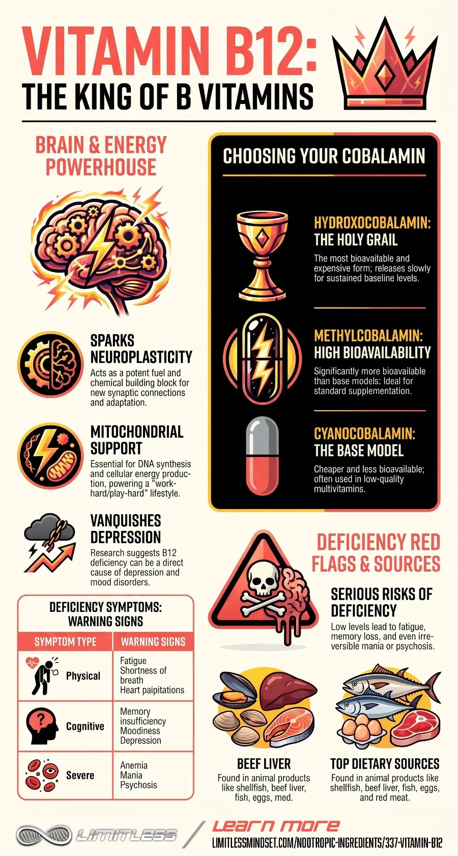 Vitamin B12: The King of B Vitamins