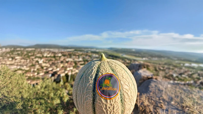 Provence, France Melon Provence, France