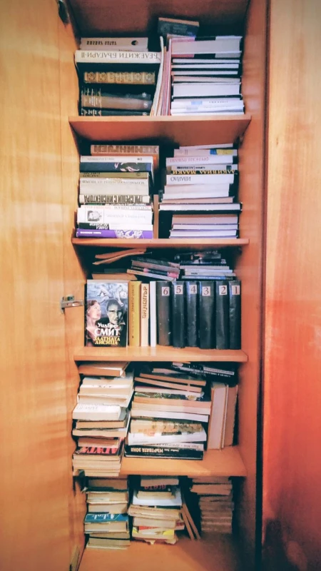 One forlorn cabinet out of many that I've had to pack with unread books