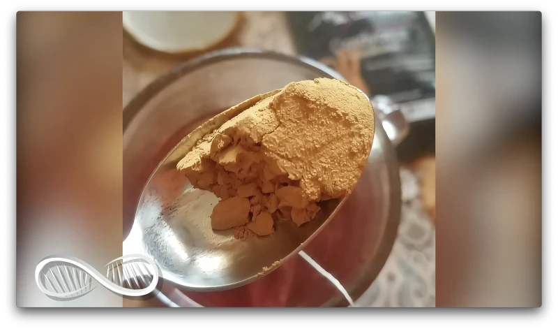 Cordyceps in spoon